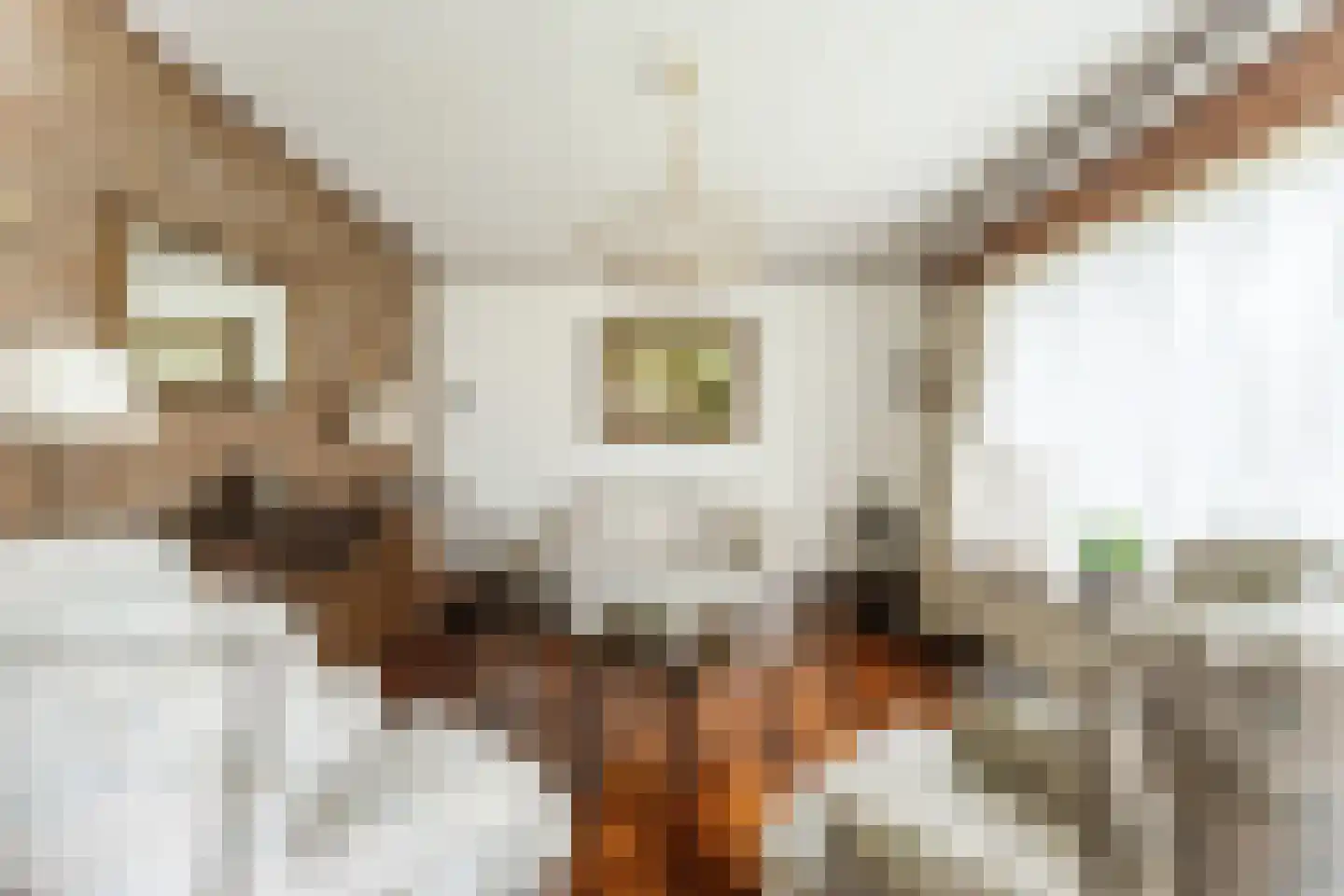 Rooseveltlaan 2 Harderwijk thumbnail 12
