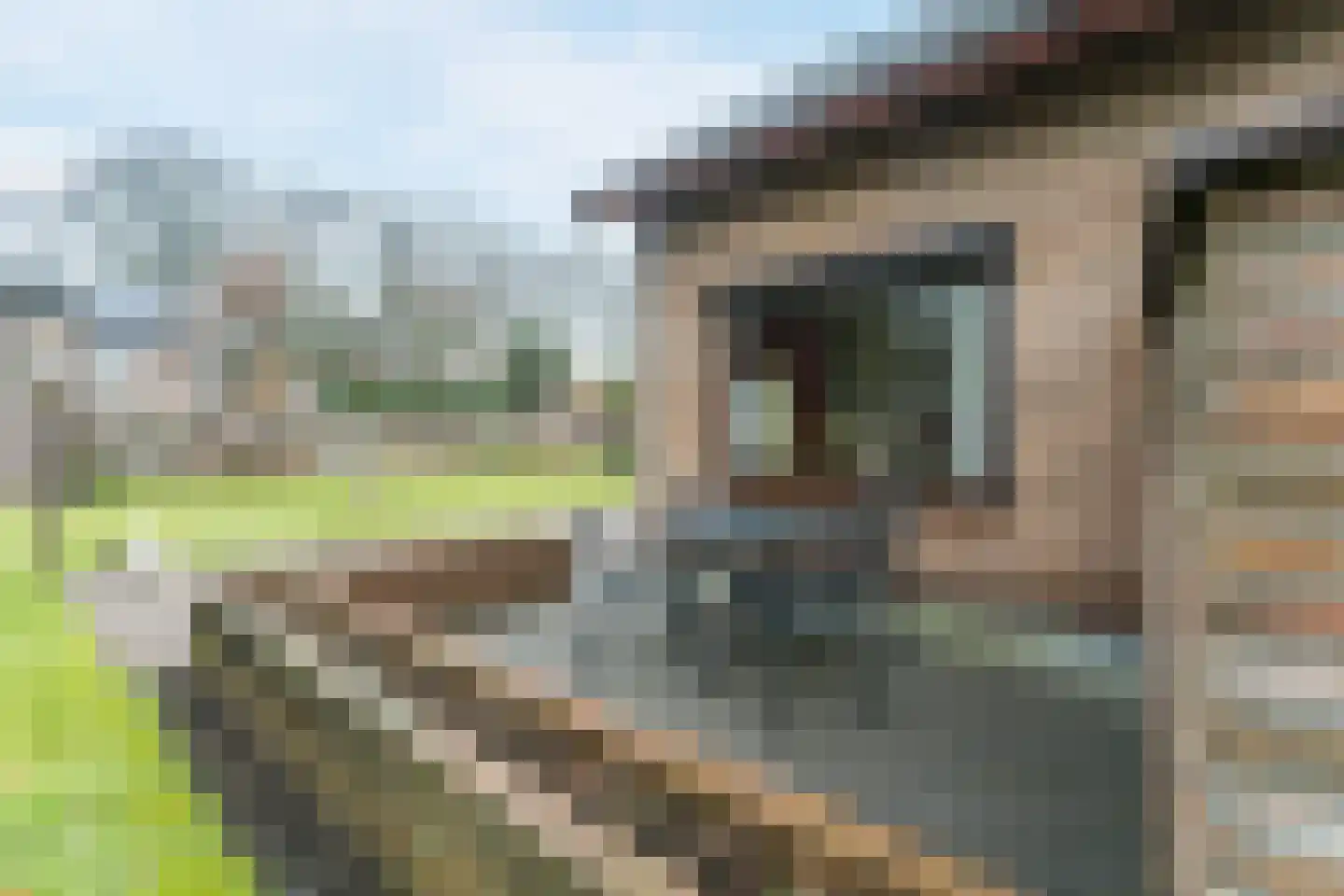 Rooseveltlaan 2 Harderwijk thumbnail 65