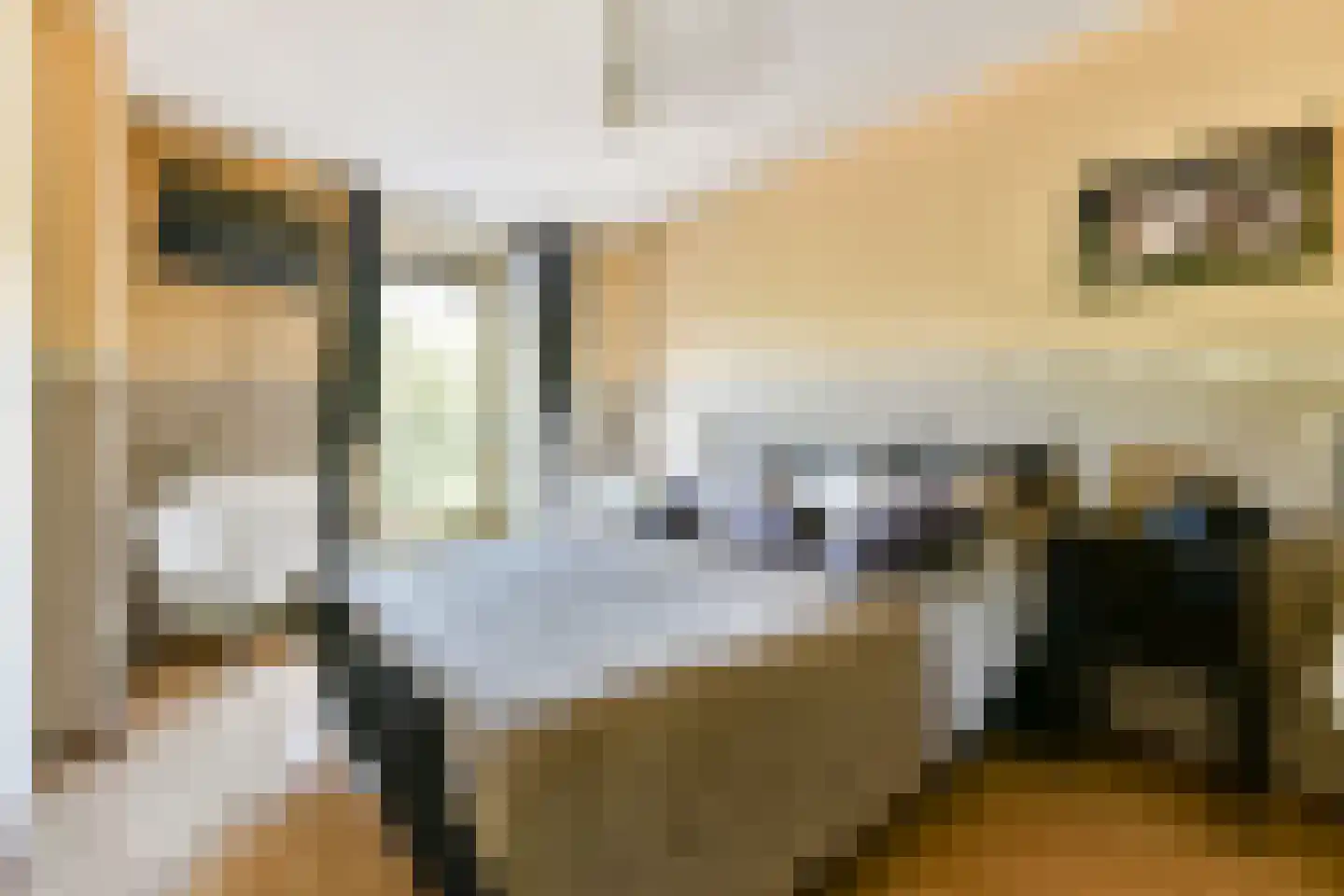 Rooseveltlaan 2 Hellevoetsluis thumbnail 11