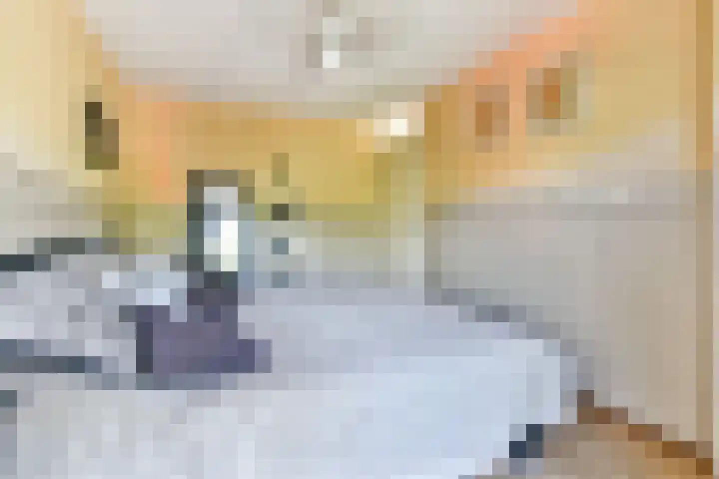 Rooseveltlaan 2 Hellevoetsluis thumbnail 12