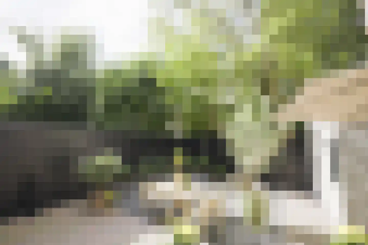 Rooseveltlaan 20 Amsterdam thumbnail 39
