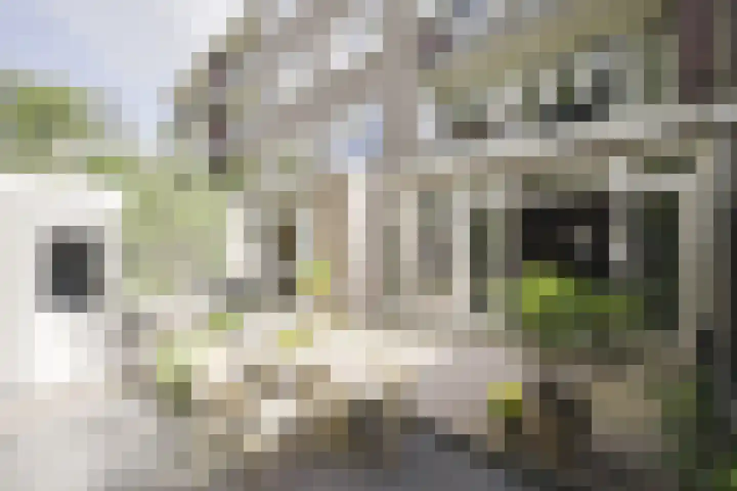 Rooseveltlaan 20 Amsterdam thumbnail 41