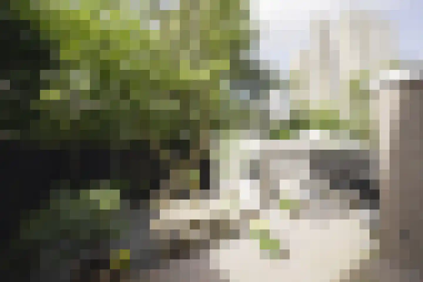 Rooseveltlaan 20 Amsterdam thumbnail 42