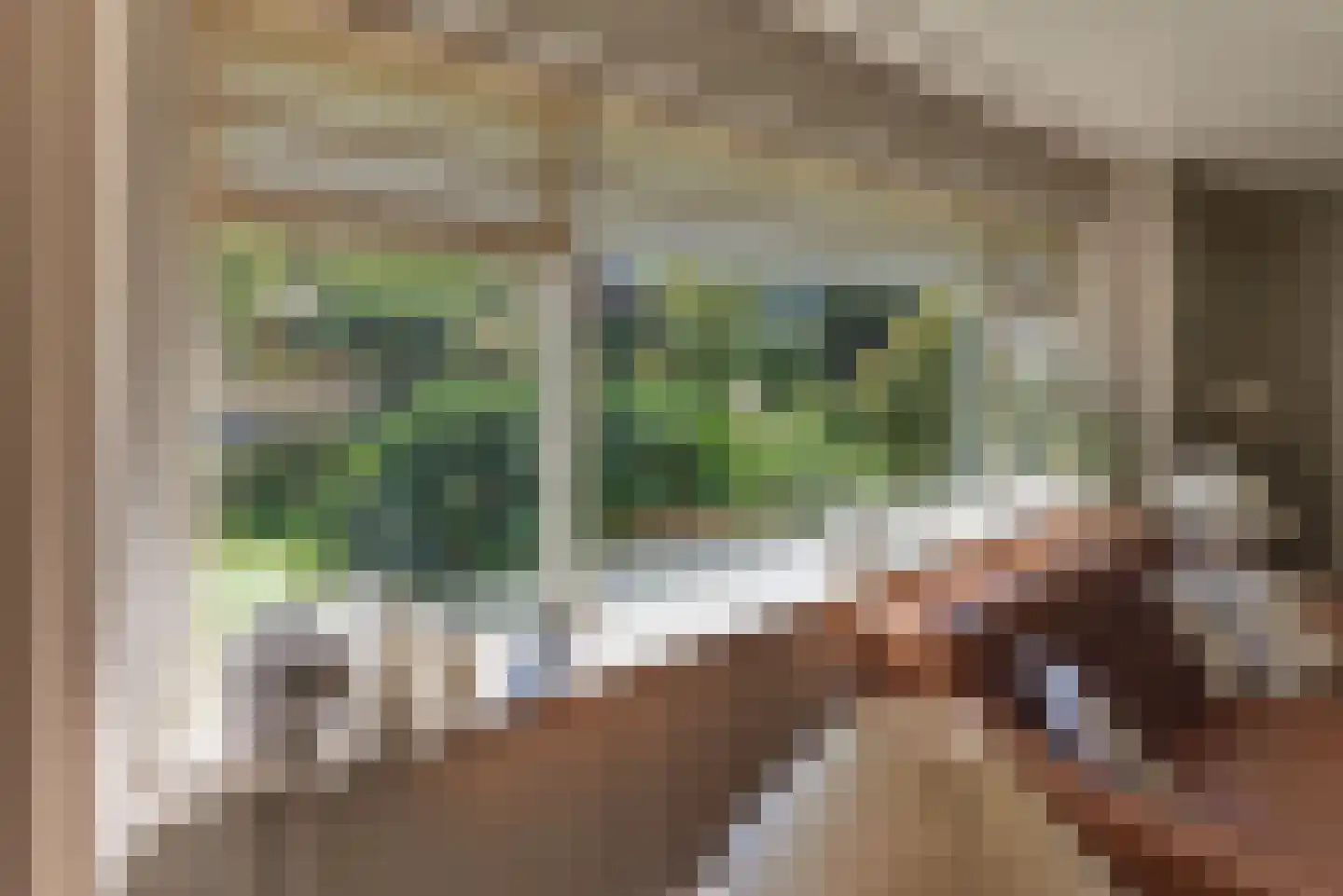 Rooseveltlaan 20 Harderwijk thumbnail 14