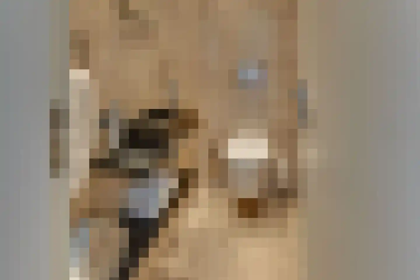 Rooseveltlaan 20 Harderwijk thumbnail 27