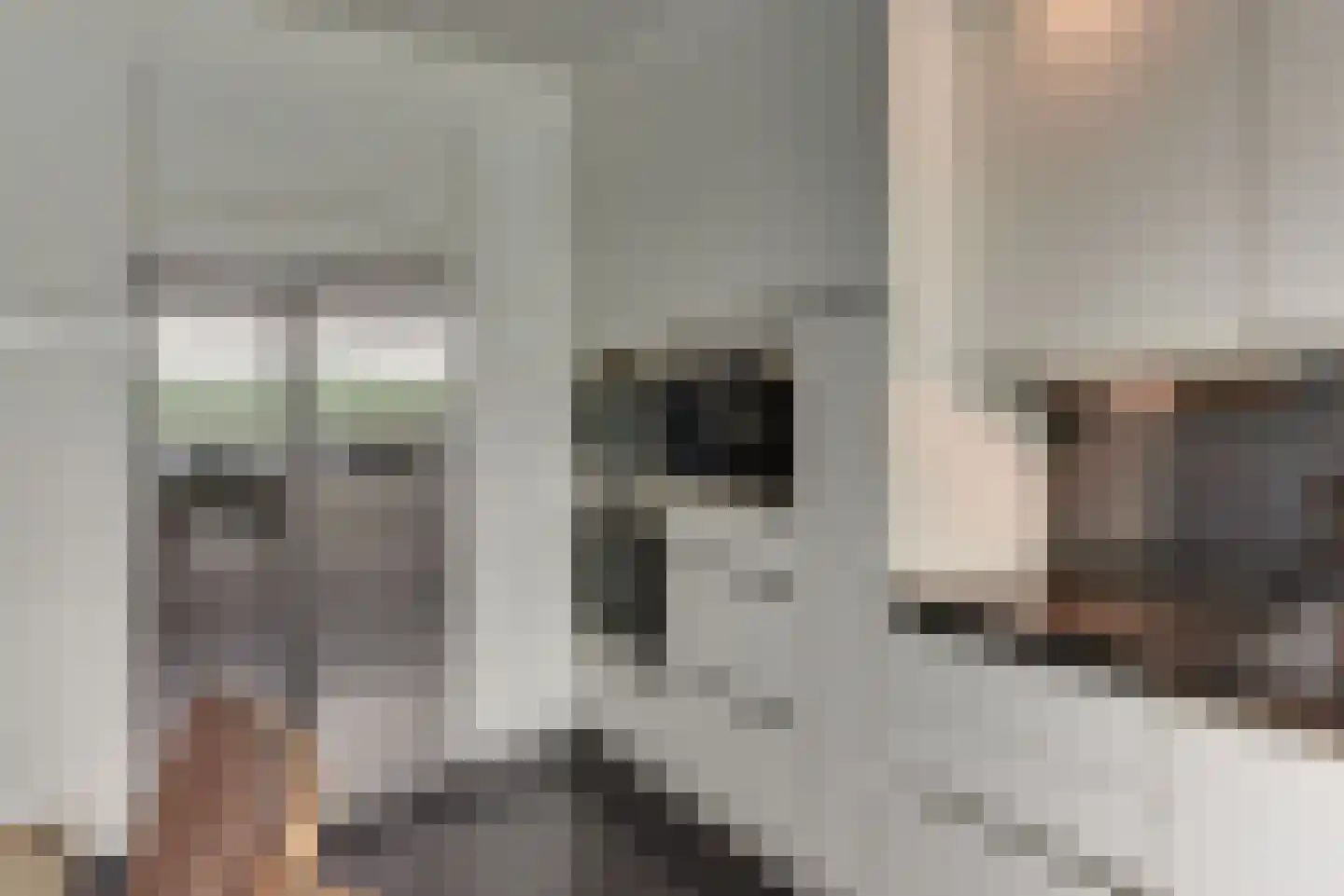 Rooseveltlaan 20 Harderwijk thumbnail 33