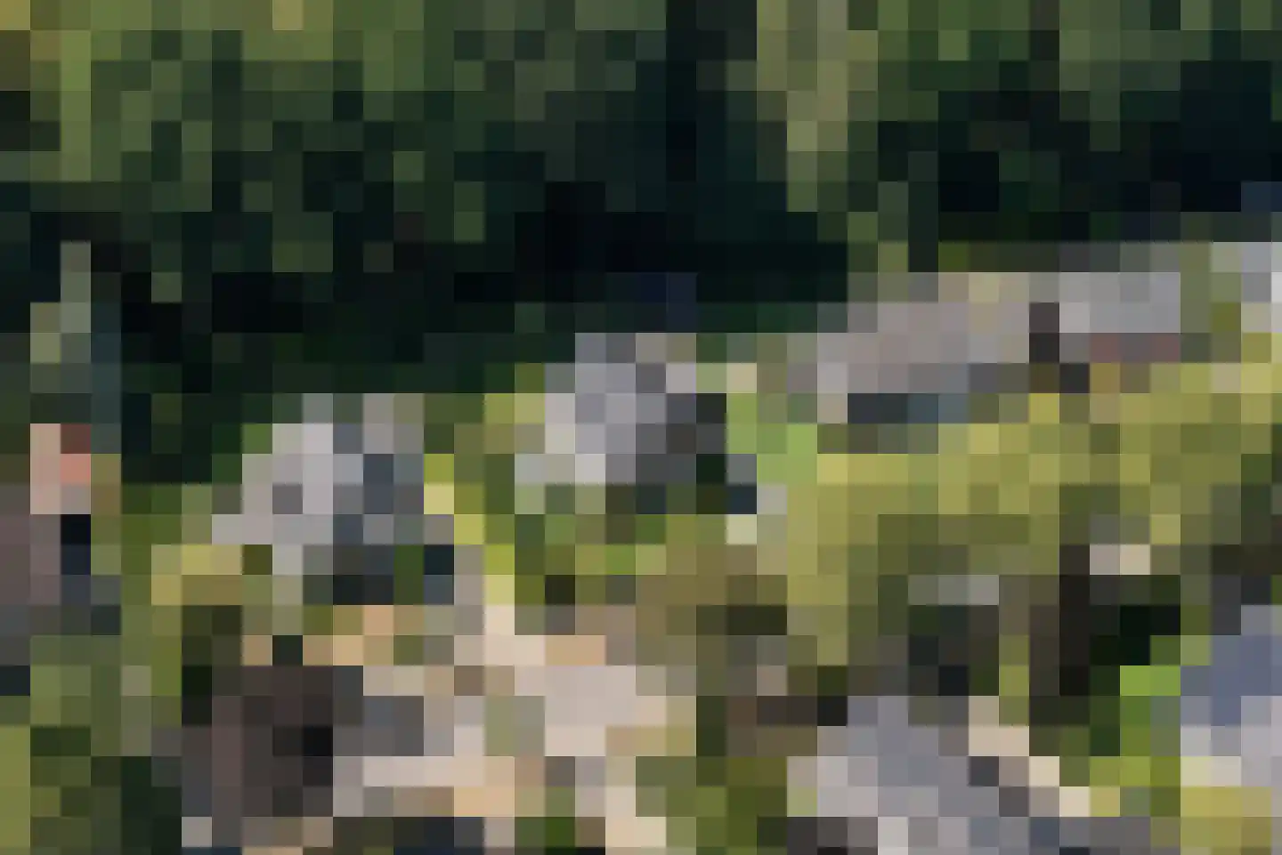 Rooseveltlaan 20 Harderwijk thumbnail 5