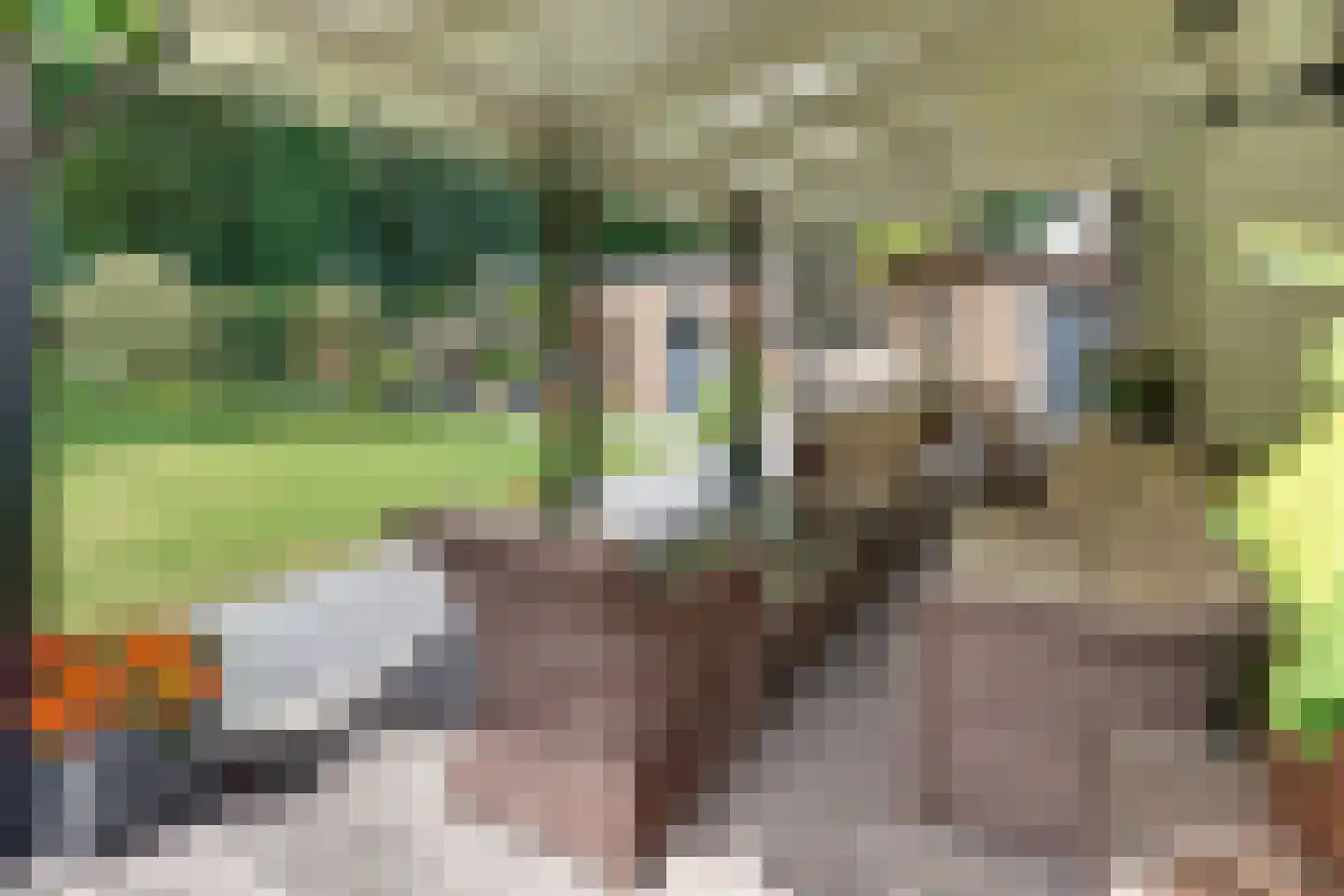 Rooseveltlaan 20 Harderwijk thumbnail 59