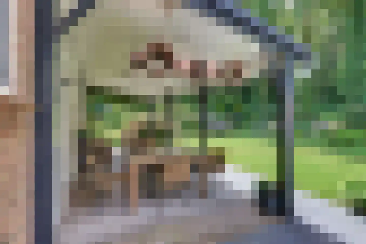 Rooseveltlaan 20 Harderwijk thumbnail 62