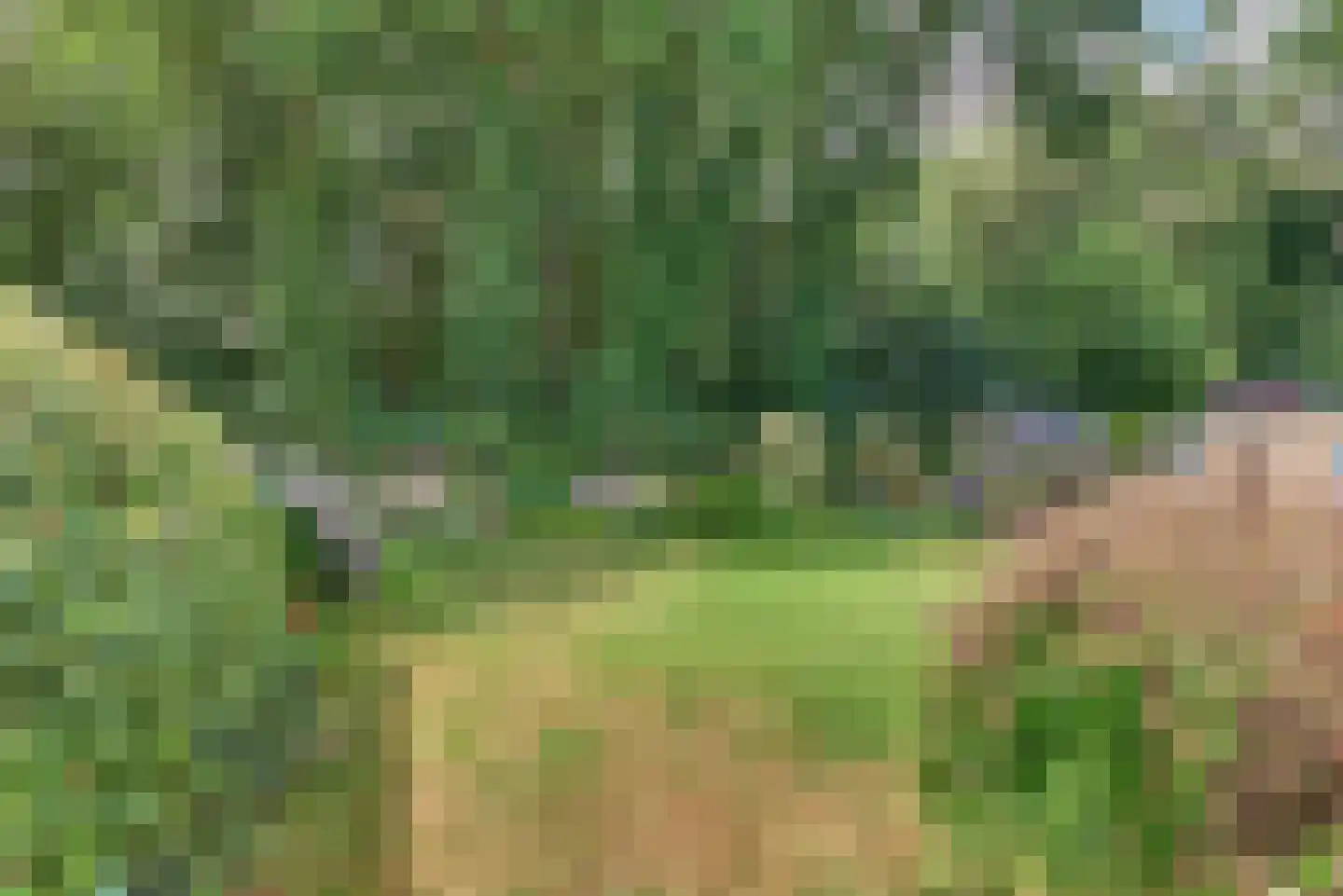 Rooseveltlaan 20 Harderwijk thumbnail 63