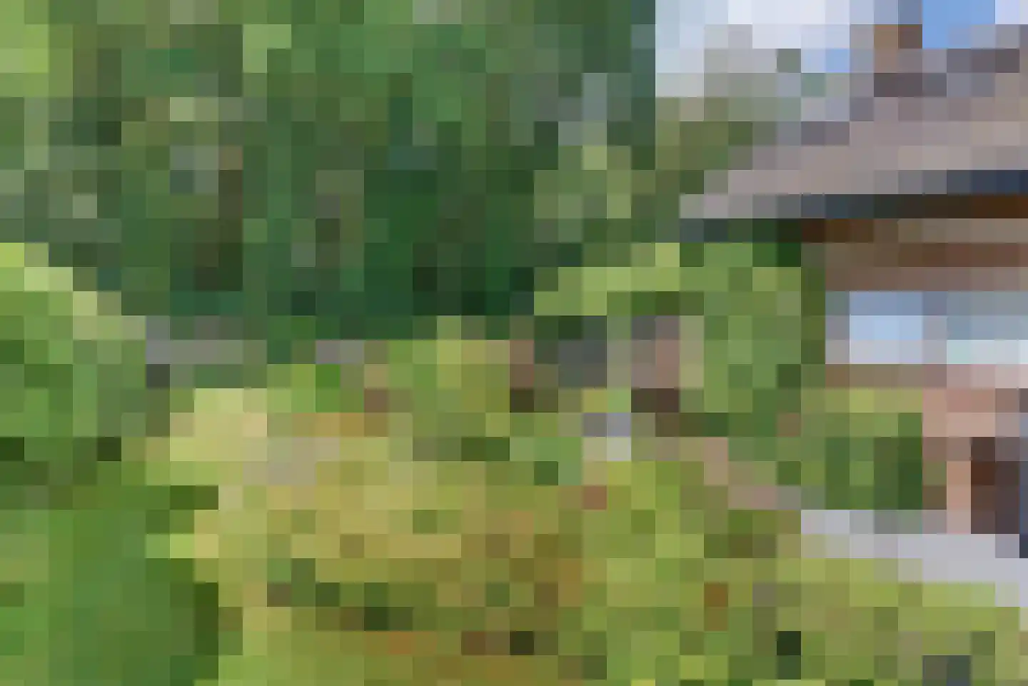 Rooseveltlaan 20 Harderwijk thumbnail 66