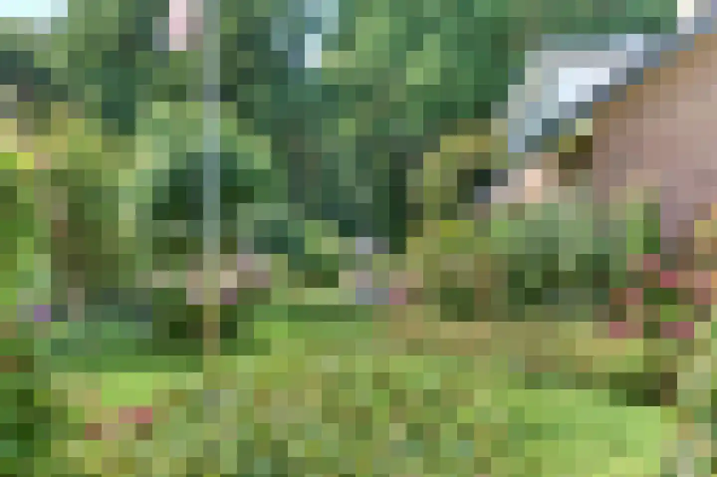 Rooseveltlaan 20 Harderwijk thumbnail 73