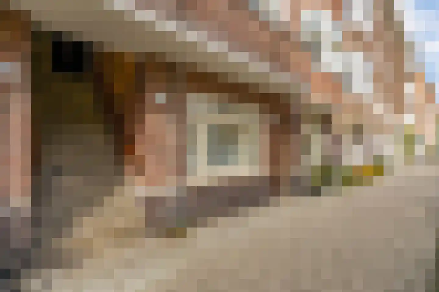 Rooseveltlaan 206 3 Amsterdam thumbnail 25