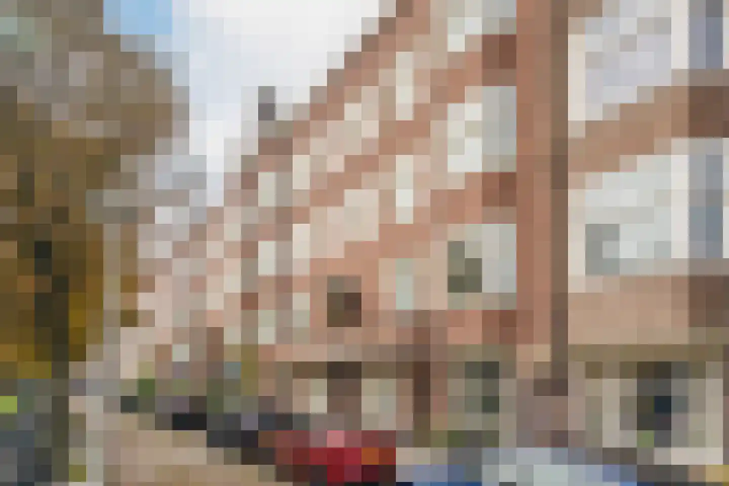 Rooseveltlaan 206 3 Amsterdam thumbnail 26