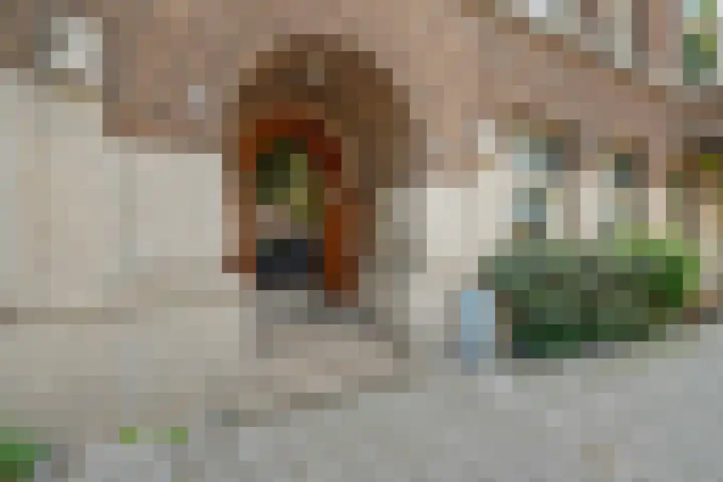 Rooseveltlaan 209 3 Amsterdam thumbnail 11