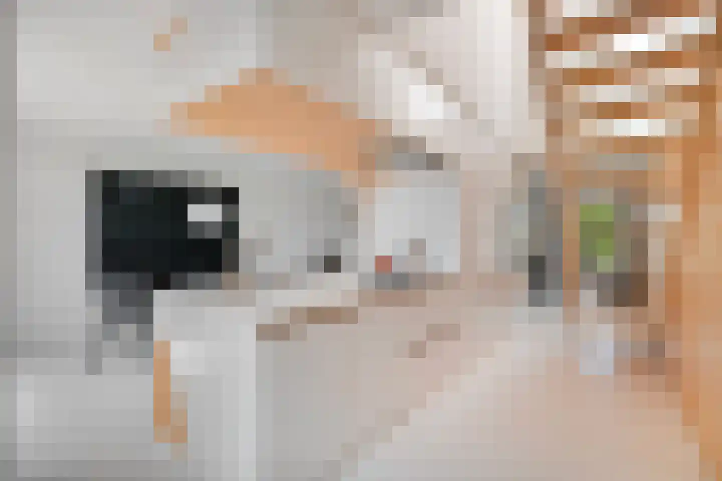 Rooseveltlaan 209 3 Amsterdam thumbnail 17