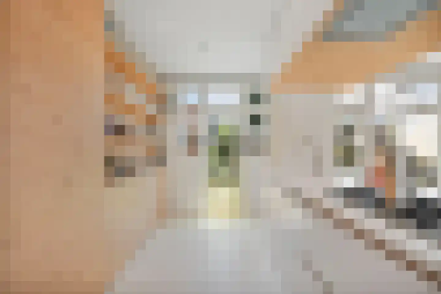 Rooseveltlaan 209 3 Amsterdam thumbnail 18
