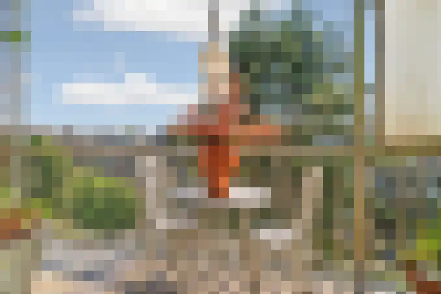 Rooseveltlaan 209 3 Amsterdam thumbnail 21