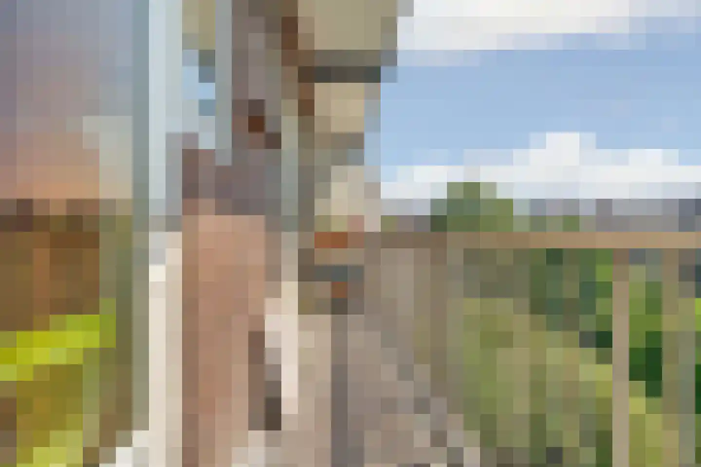 Rooseveltlaan 209 3 Amsterdam thumbnail 23
