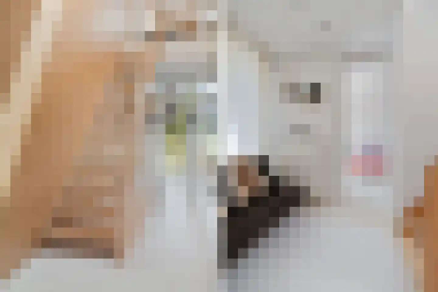 Rooseveltlaan 209 3 Amsterdam thumbnail 26