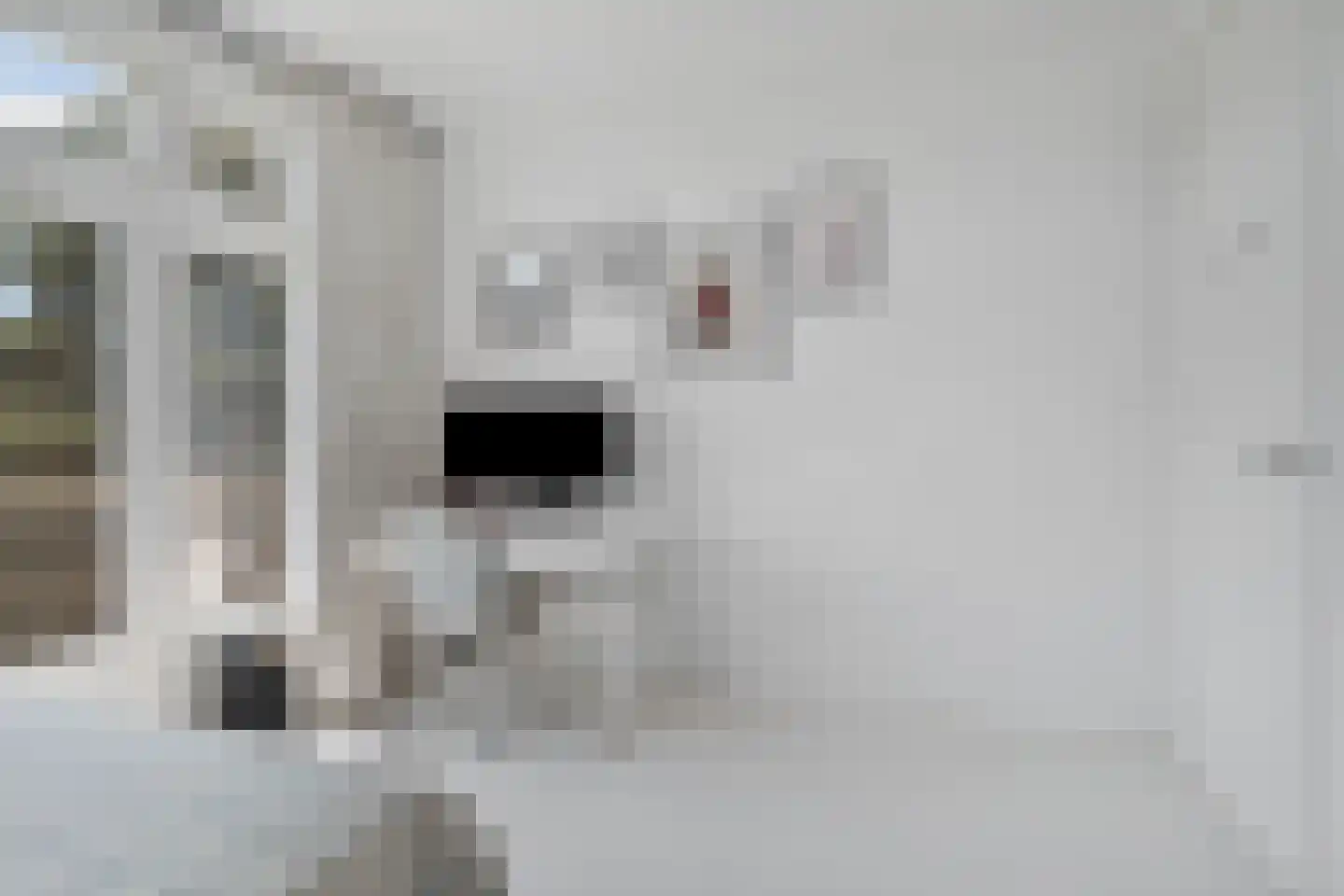 Rooseveltlaan 209 3 Amsterdam thumbnail 33