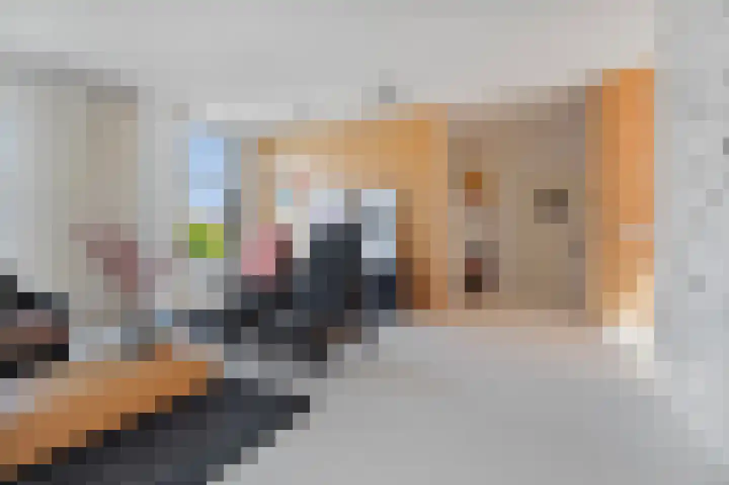 Rooseveltlaan 209 3 Amsterdam thumbnail 4