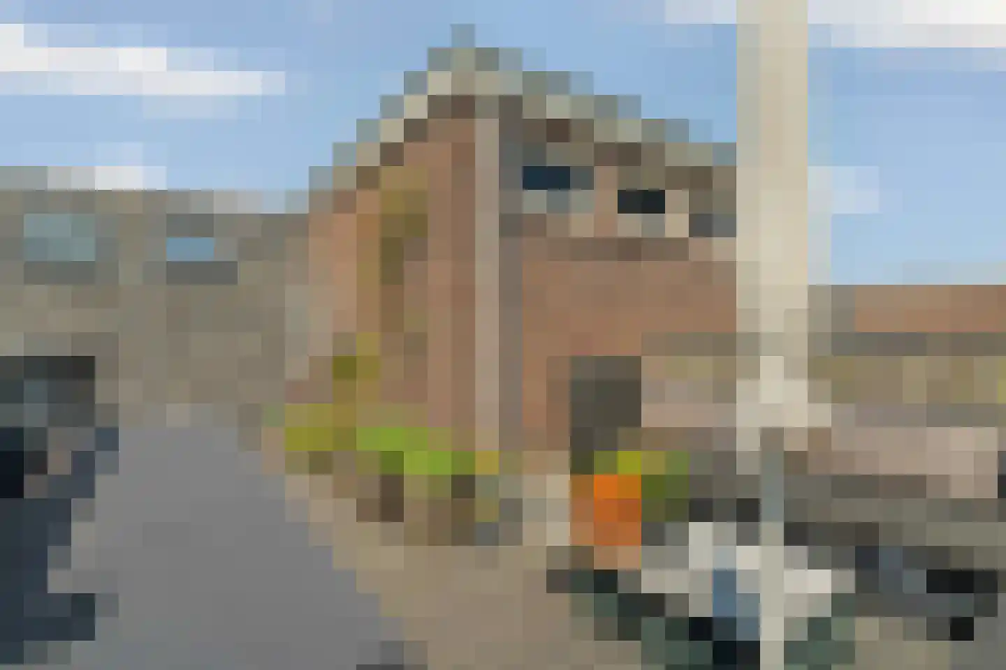 Rooseveltlaan 209 3 Amsterdam thumbnail 43