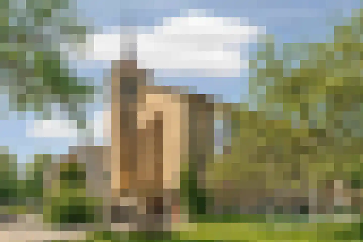 Rooseveltlaan 209 3 Amsterdam thumbnail 47