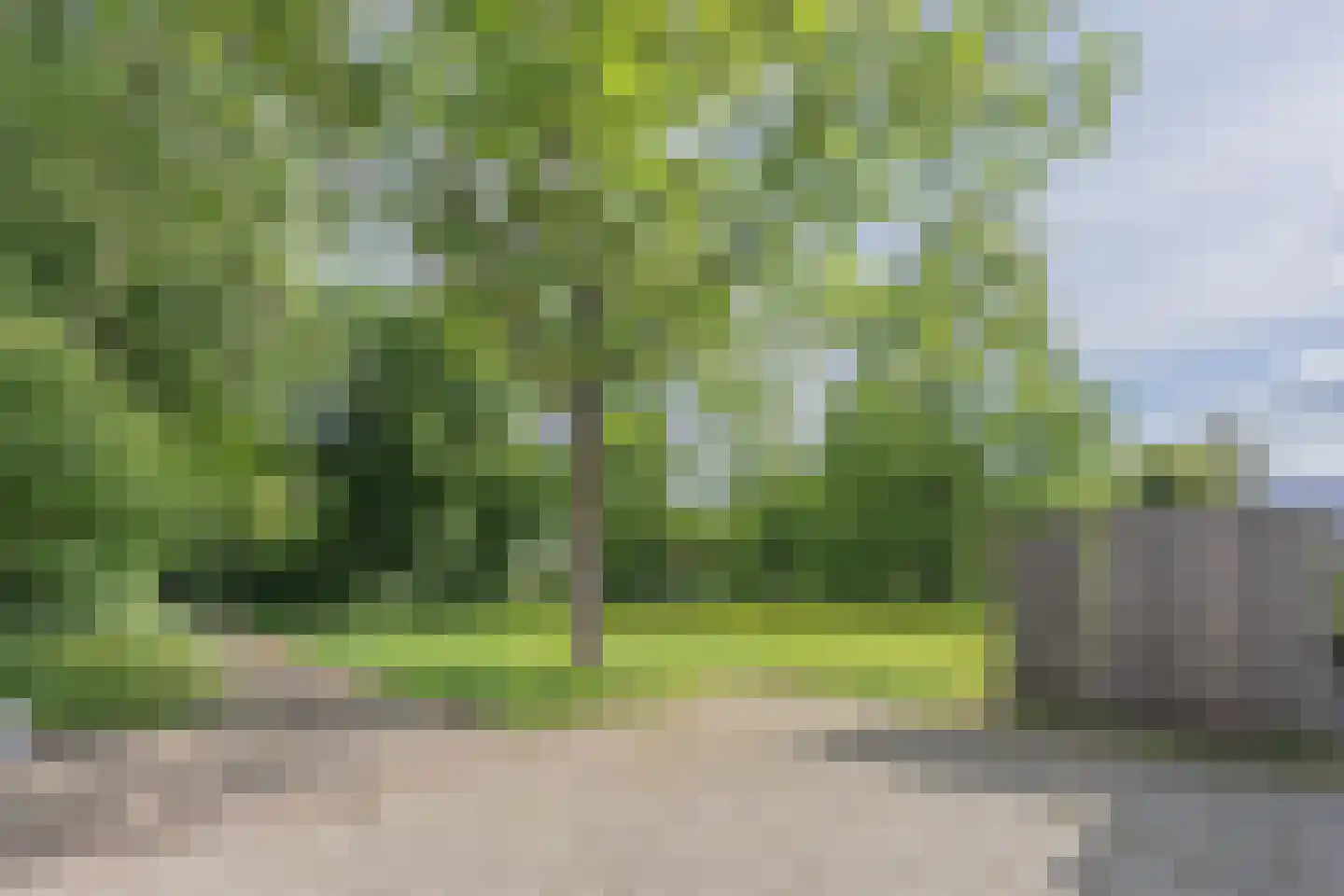 Rooseveltlaan 22 Goes thumbnail 11