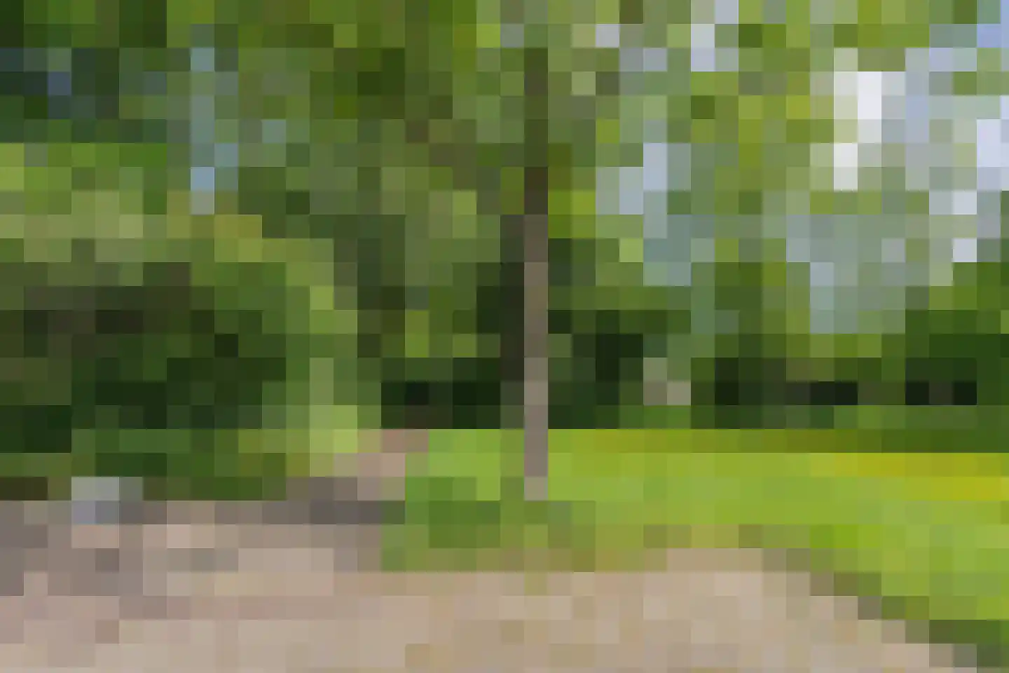 Rooseveltlaan 22 Goes thumbnail 12