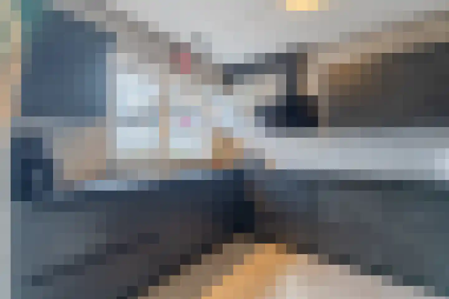 Rooseveltlaan 22 Goes thumbnail 18