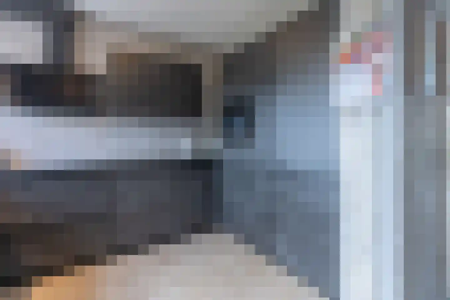 Rooseveltlaan 22 Goes thumbnail 20