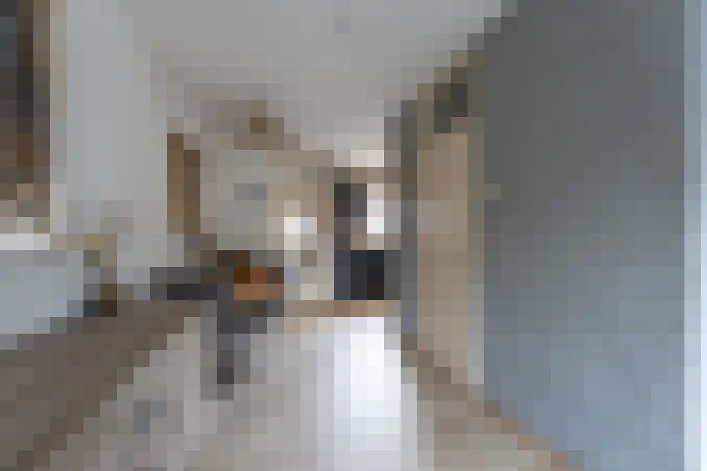 Rooseveltlaan 22 Goes thumbnail 23