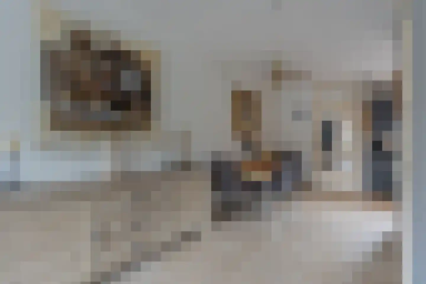 Rooseveltlaan 22 Goes thumbnail 24