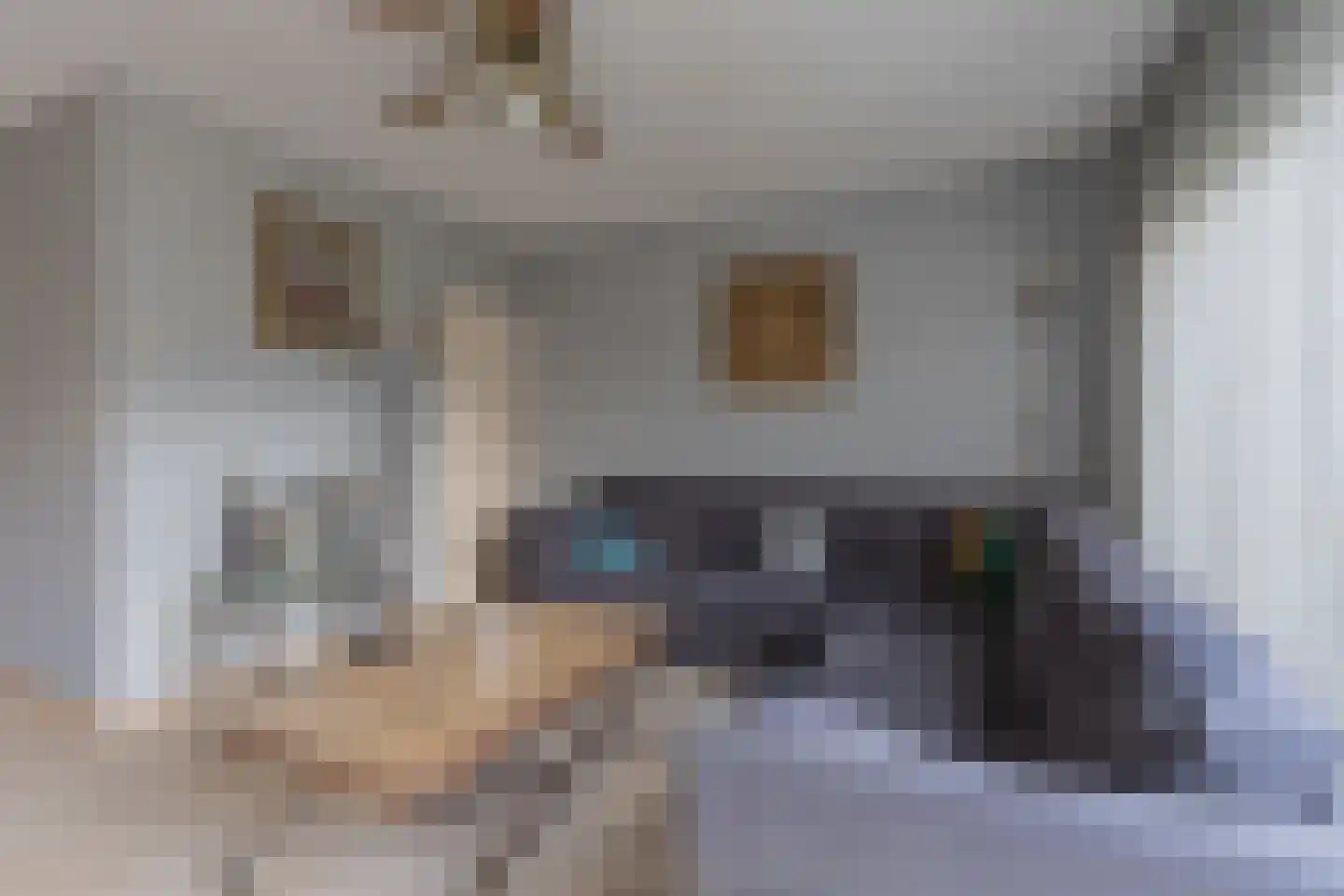 Rooseveltlaan 22 Goes thumbnail 26