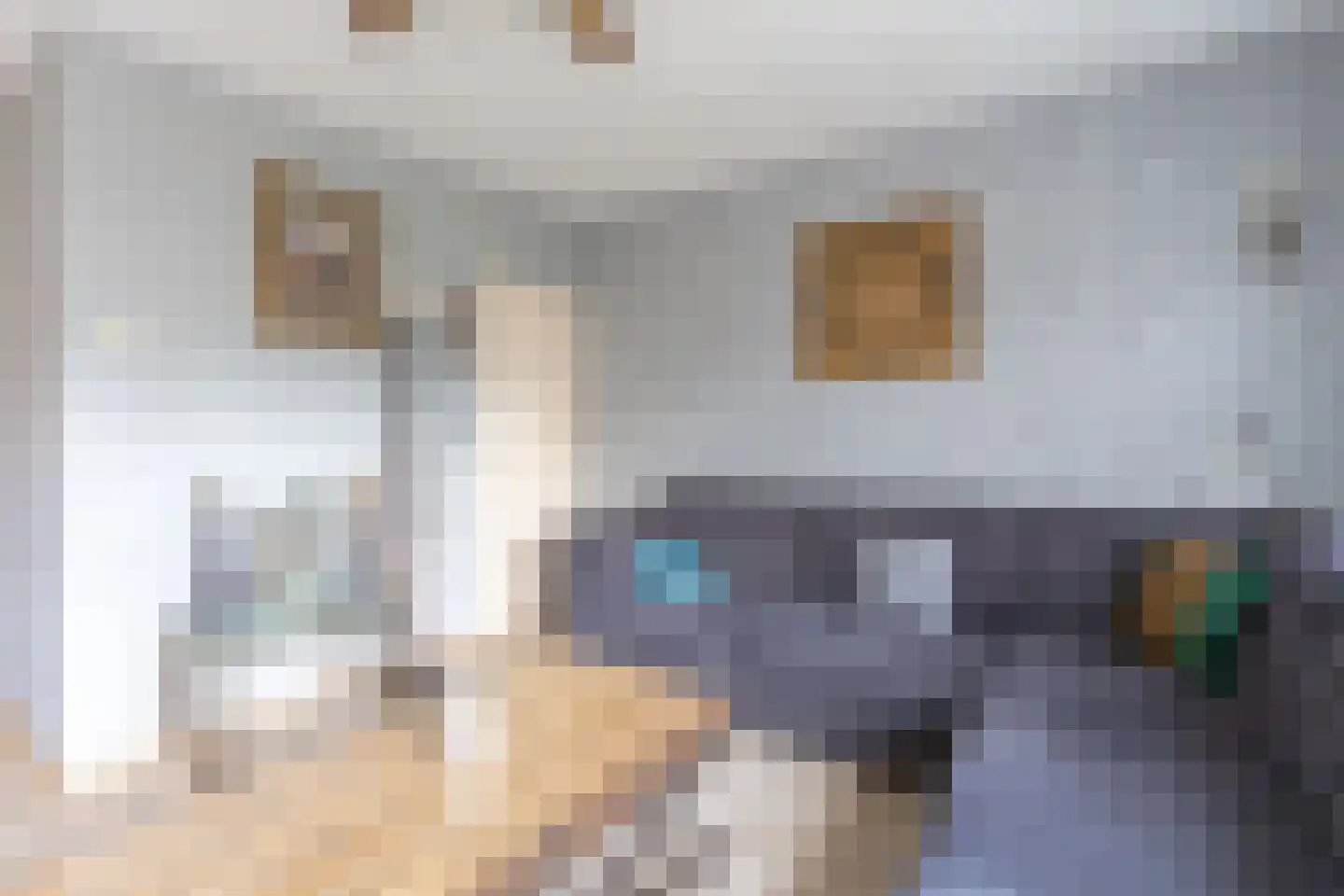 Rooseveltlaan 22 Goes thumbnail 27