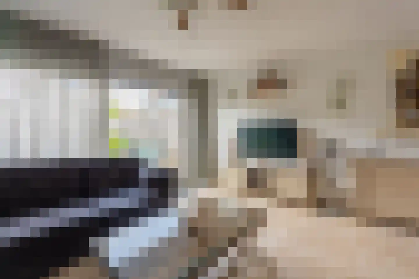 Rooseveltlaan 22 Goes thumbnail 30