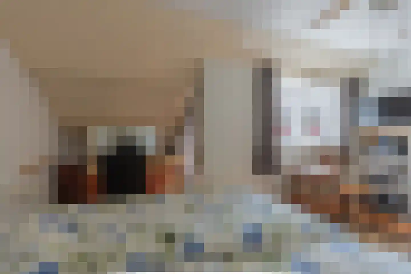 Rooseveltlaan 22 Goes thumbnail 37