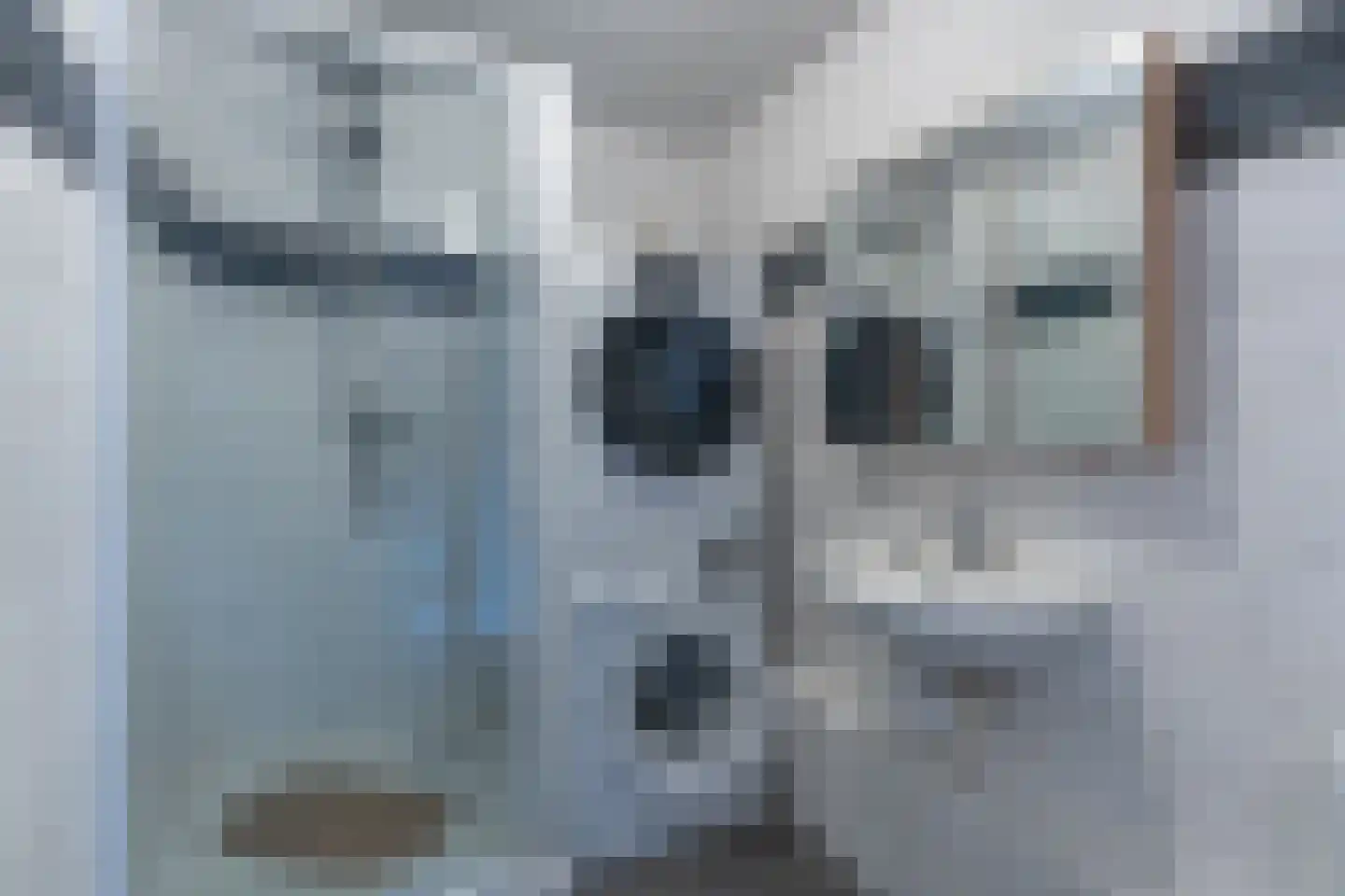 Rooseveltlaan 22 Goes thumbnail 46