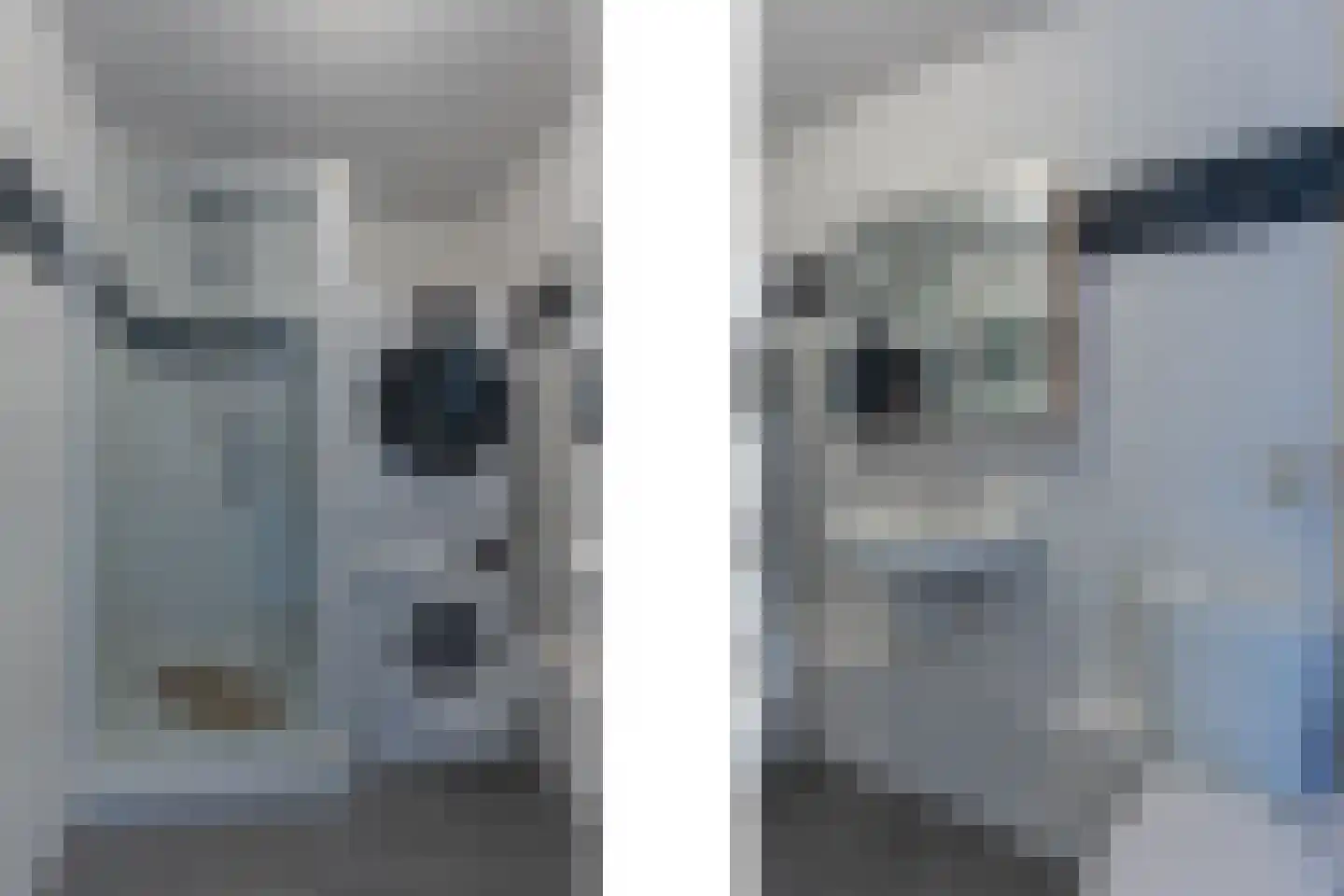 Rooseveltlaan 22 Goes thumbnail 47