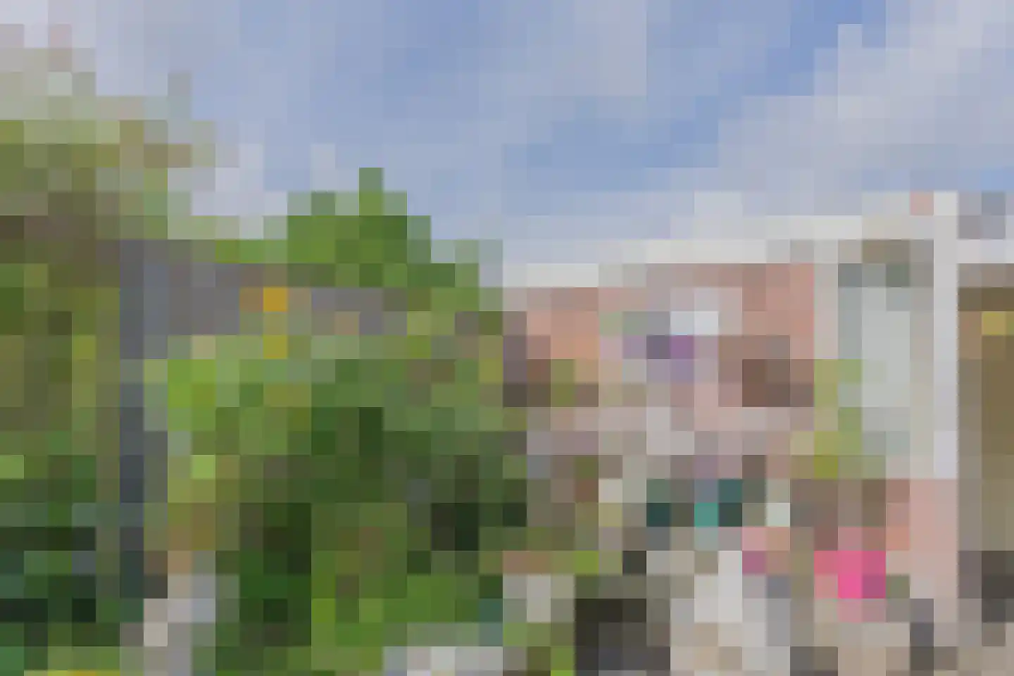 Rooseveltlaan 22 Goes thumbnail 55