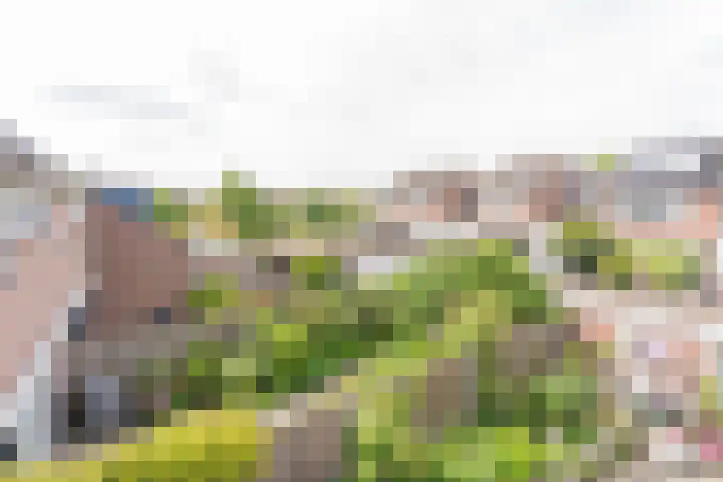 Rooseveltlaan 22 Goes thumbnail 64