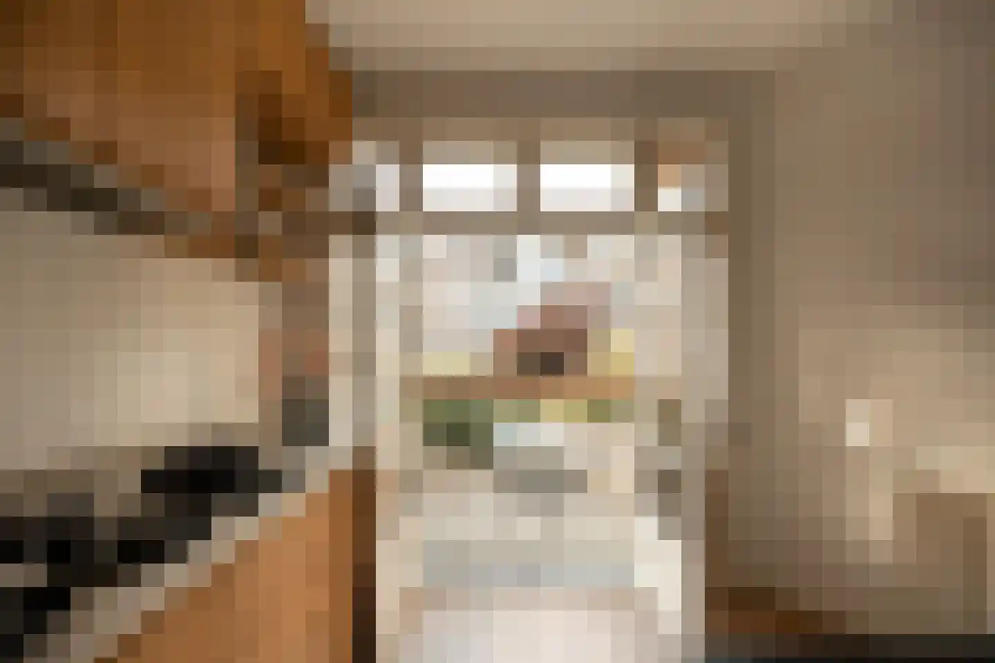 Rooseveltlaan 224 1 Amsterdam thumbnail 18