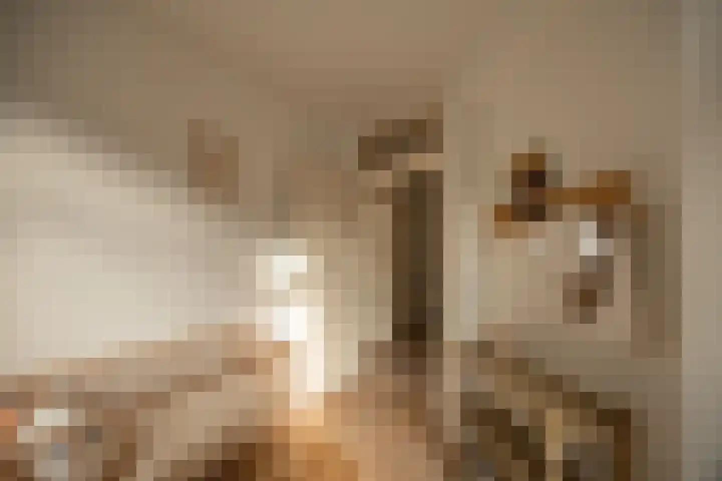 Rooseveltlaan 224 1 Amsterdam thumbnail 24