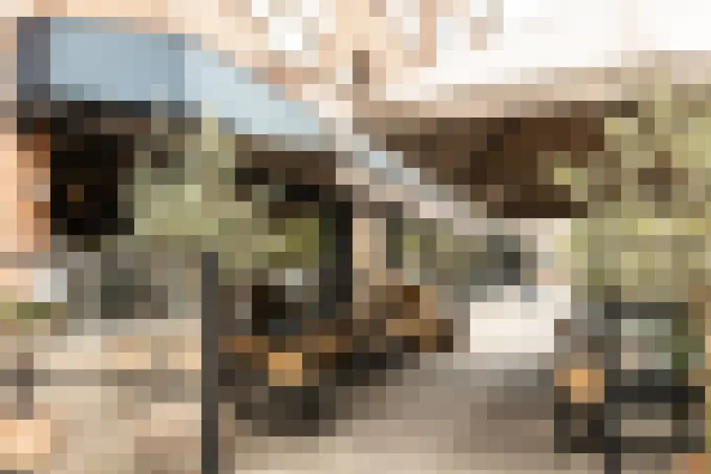 Rooseveltlaan 224 1 Amsterdam thumbnail 34