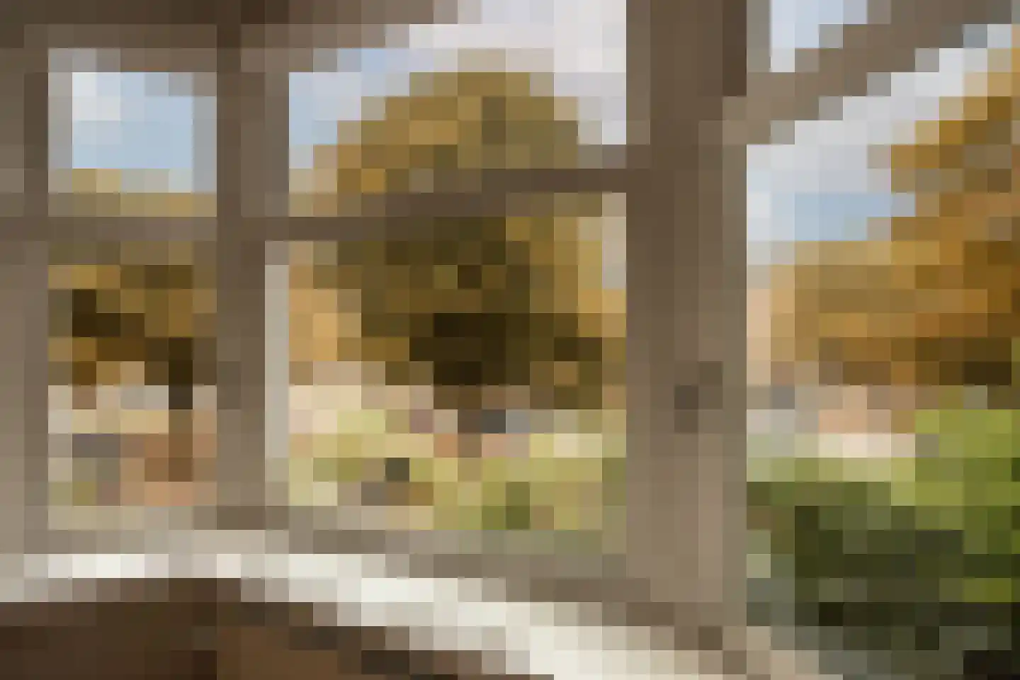 Rooseveltlaan 224 1 Amsterdam thumbnail 9