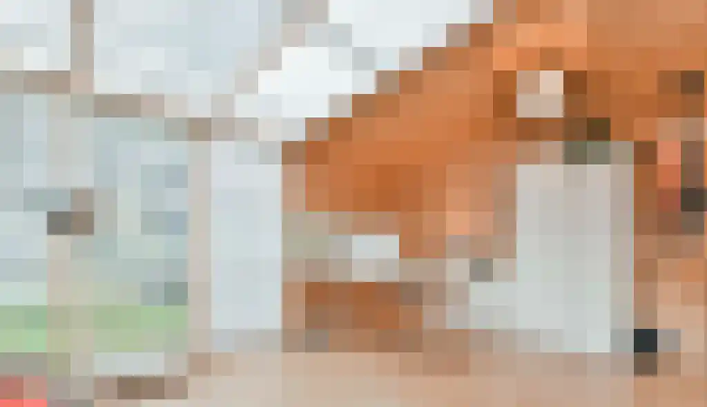 Rooseveltlaan 226 Amsterdam thumbnail 6