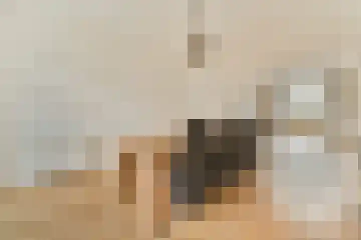 Rooseveltlaan 230 2 Amsterdam thumbnail 10