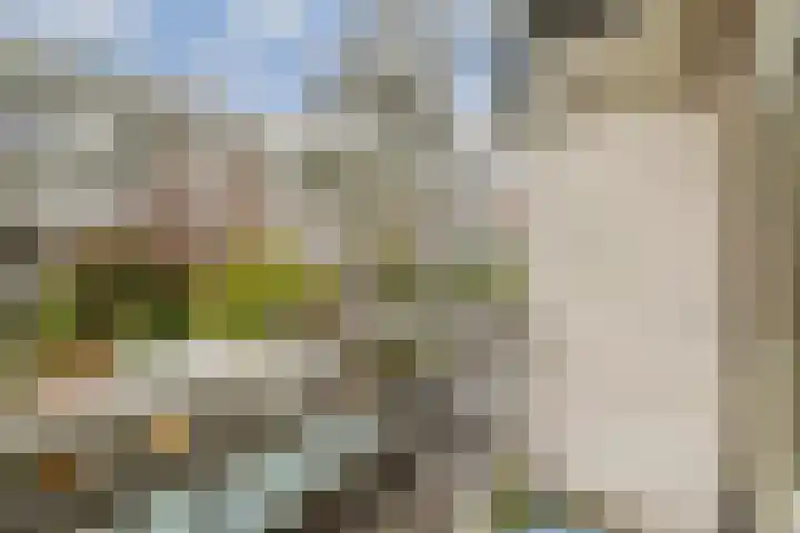 Rooseveltlaan 230 2 Amsterdam thumbnail 15