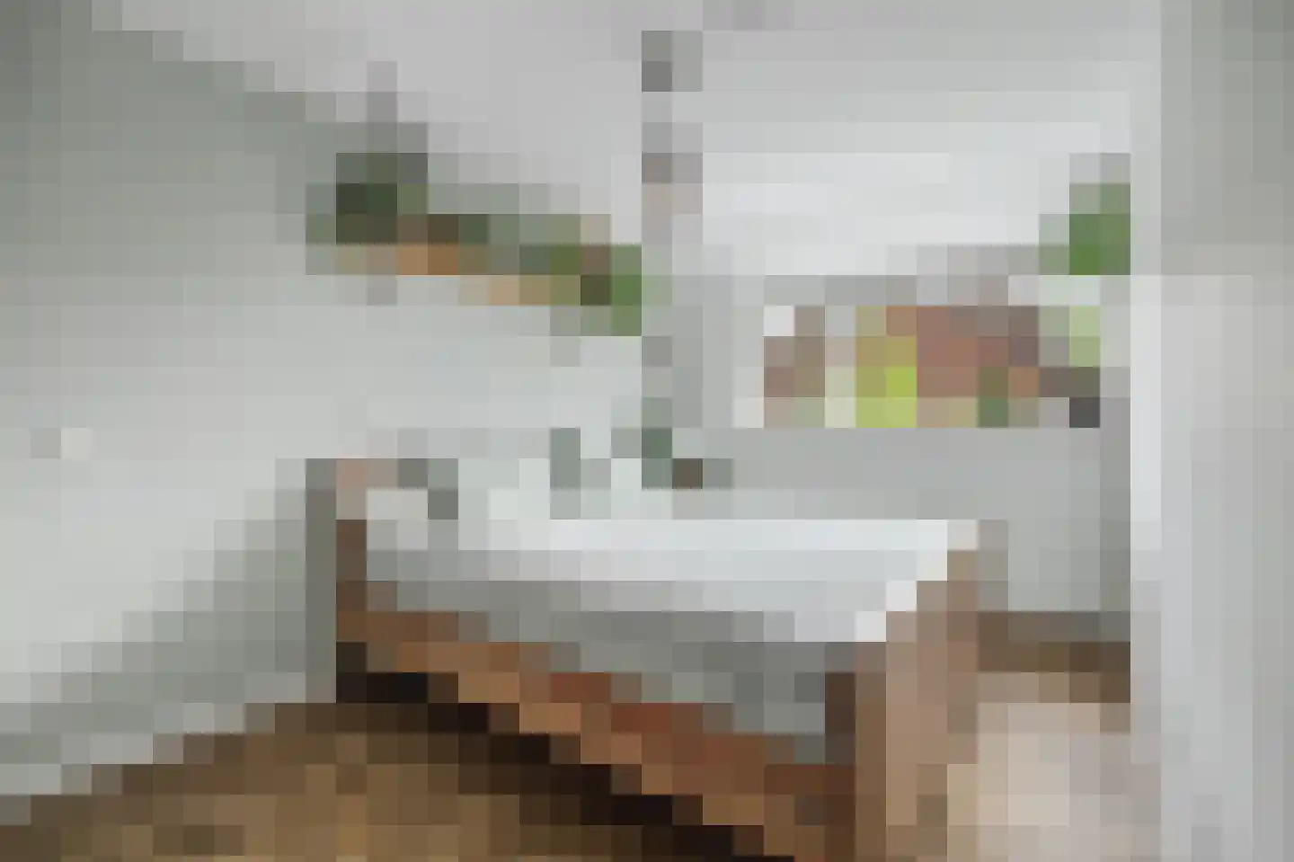 Rooseveltlaan 26 Goes thumbnail 17